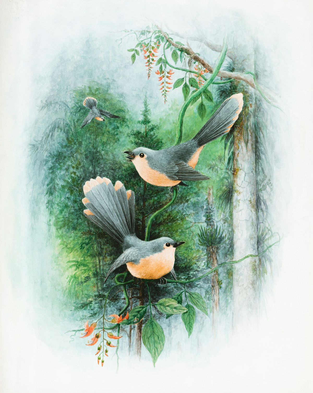 This painting depicts three birds with gray and orange plumage perched on branches in a lush forest setting. The background features greenery, vines, and orange flowers, creating a serene natural scene.