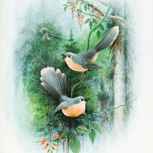 This painting depicts three birds with gray and orange plumage perched on branches in a lush forest setting. The background features greenery, vines, and orange flowers, creating a serene natural scene.