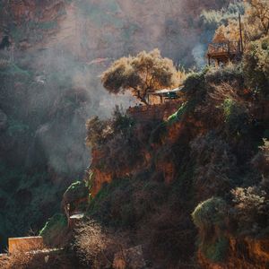 This image is a painting showing a cliffside village with houses built into a rocky, tree-covered hillside. The scene is bathed in soft, warm light, creating a picturesque and serene atmosphere.